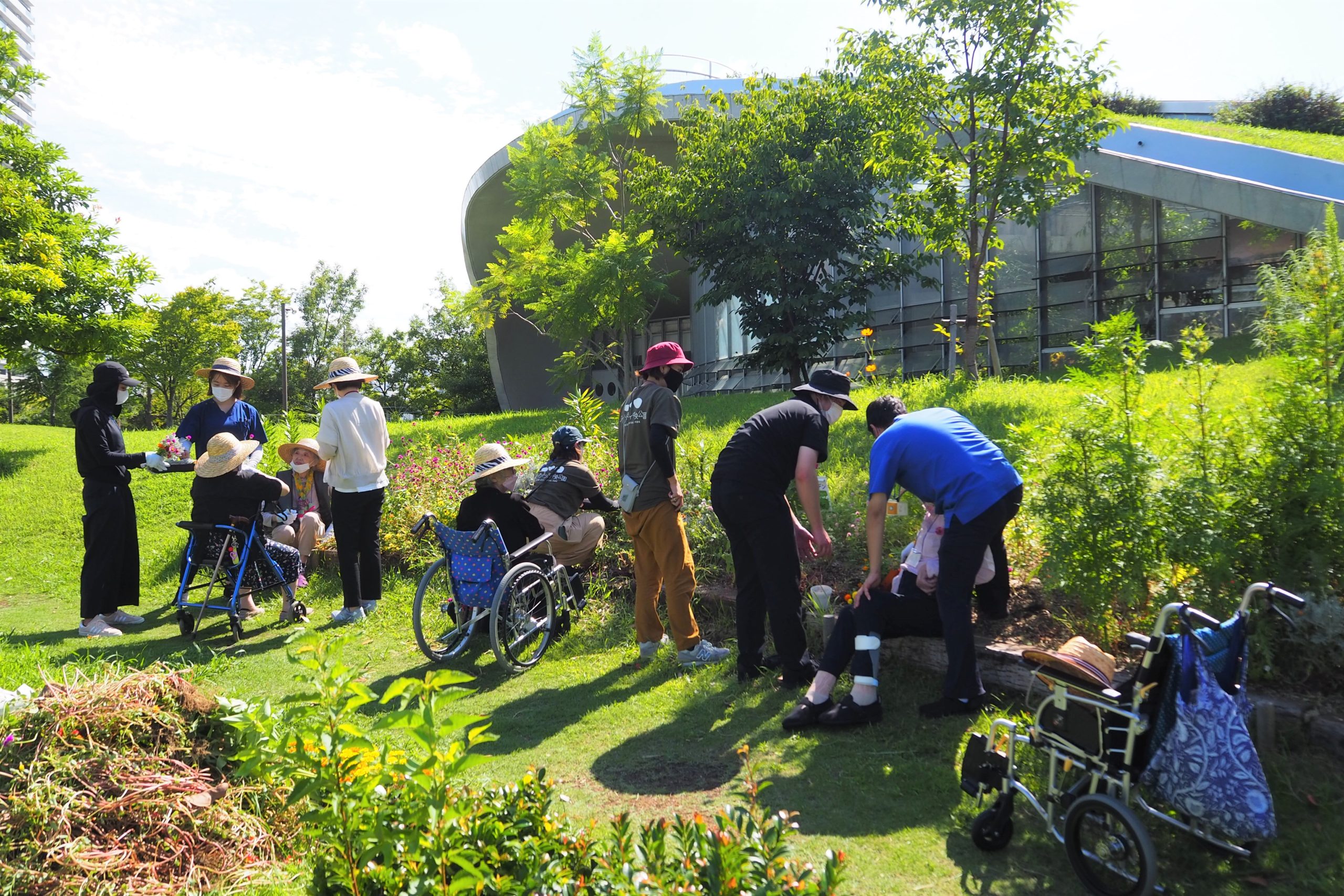 「らく楽ガーデン」in アイランドシティ中央公園の植え替えを実施しました。