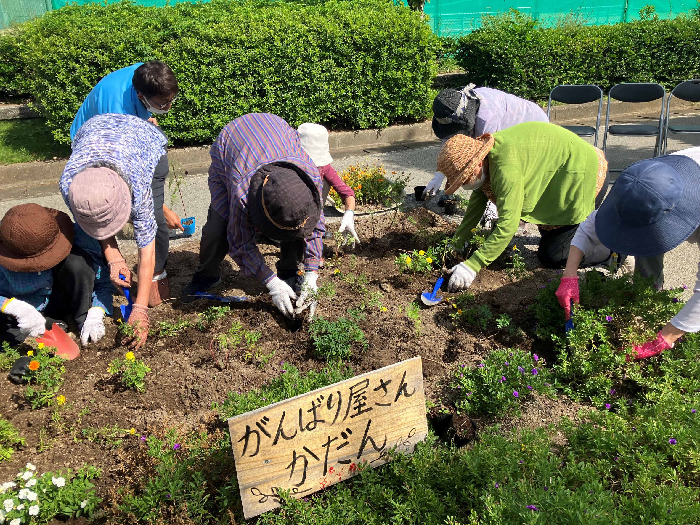 苗植えのようす