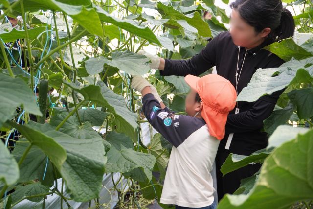 【レポート】welzo研究農場×児童発達支援センター野の花　きゅうり収穫体験を実施しました