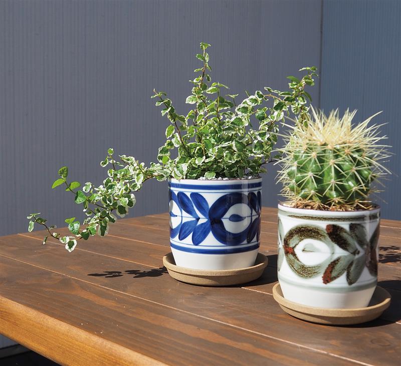 波佐見焼の植木鉢「植器」シリーズ