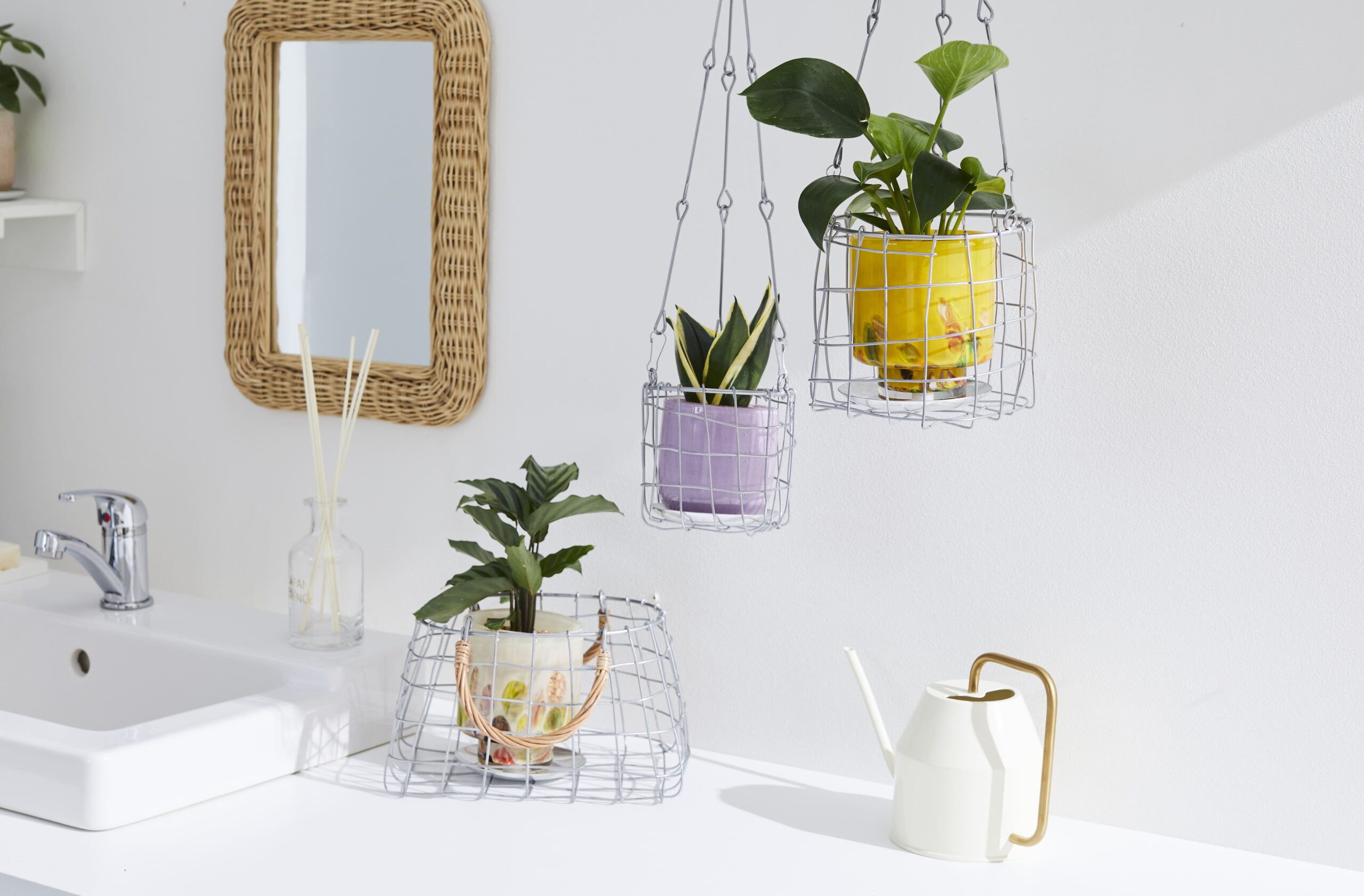 ガーデニング愛の祭典　第7回花友フェスタ に出展いたします