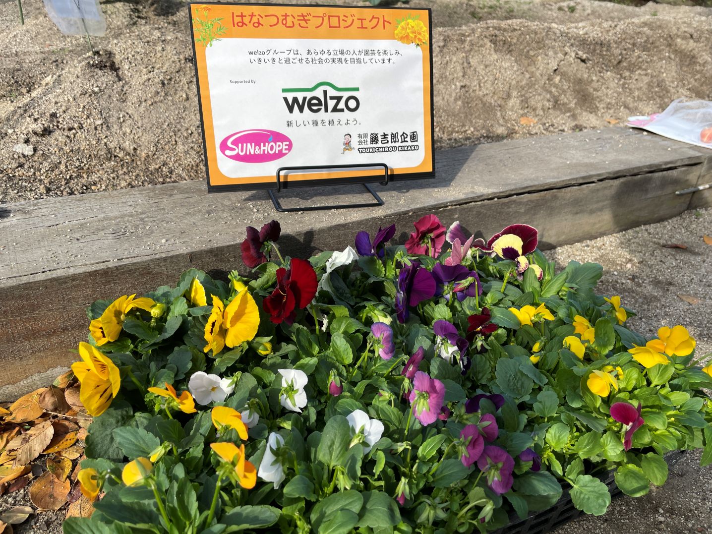 はなつむぎプロジェクトより